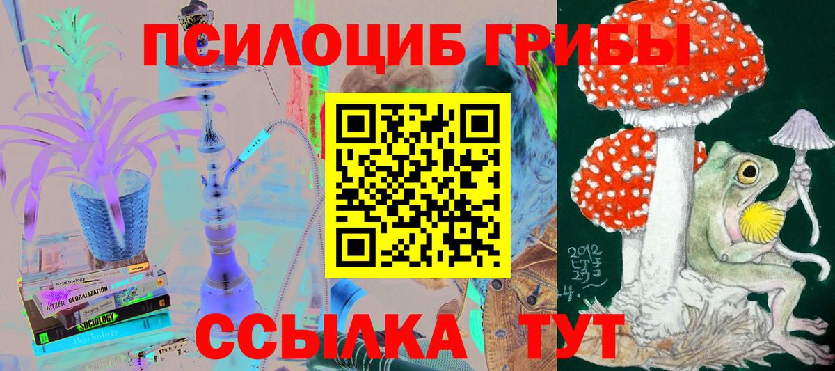 Псилоцибиновые грибы мицелий Подольск