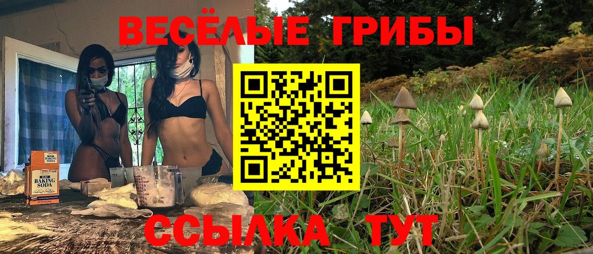 Подольск  Галлюциногенные грибы мухоморы  Вход с VPN 